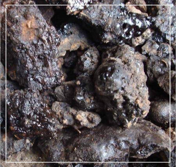 New Project – 2022-09-23T150434.369